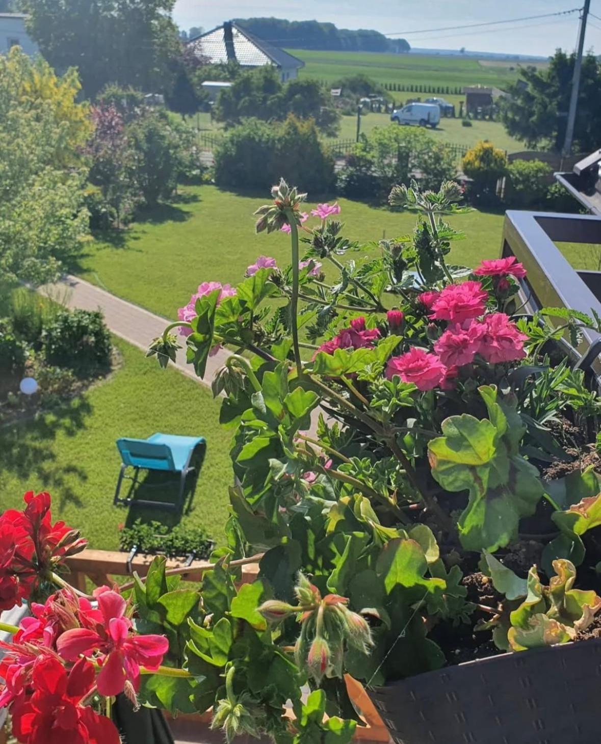 Apartamenty Na Baltyckiej Choczewo 외부 사진